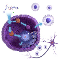 Agonists/Inhibitors